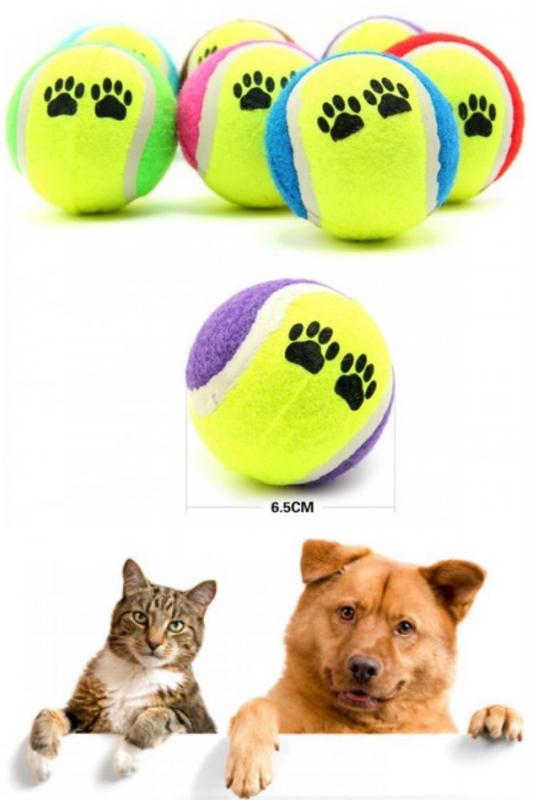 Köpek Kedi Evcil Hayvan Eğitim Topu 3 Lü Set